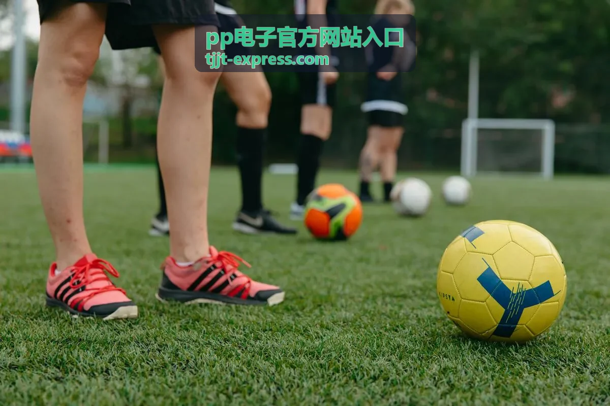 pp电子官方网站入口企业数据统计与使用分析