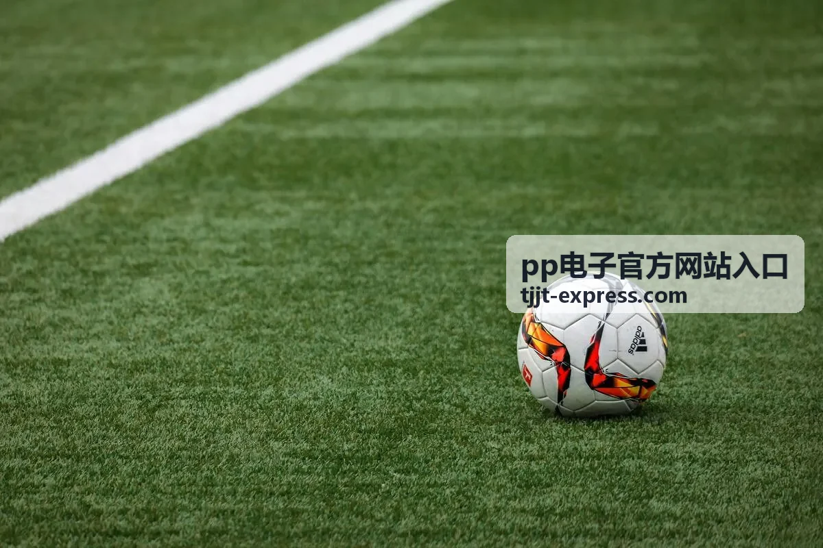 pp电子官方网站入口风险监测与预警