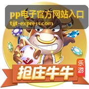 pp电子官方网站入口安全风控流程说明