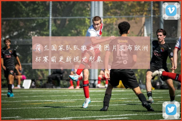 荷兰国家队队徽高清图片发布欧洲杯赛前更新视觉形象