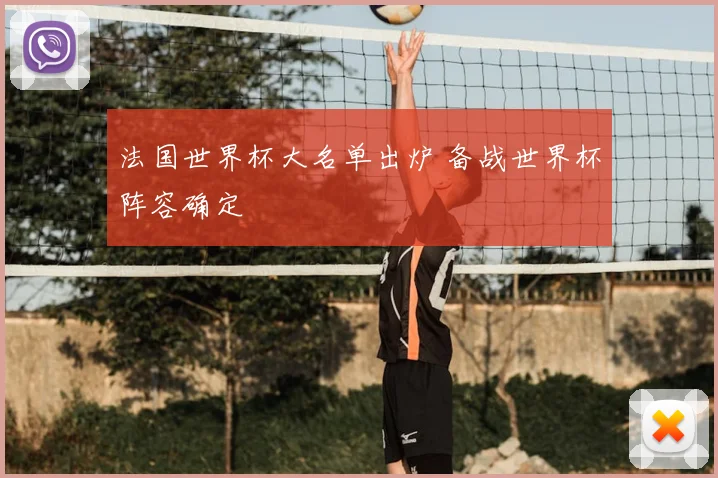 法国世界杯大名单出炉 备战世界杯阵容确定
