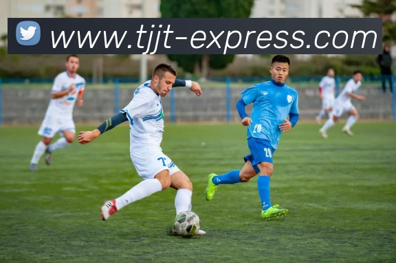 开云综合app官网登录服务体系